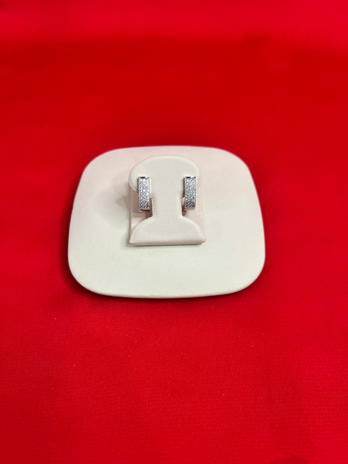 Pure Silver Hoops Earrings (HE1)