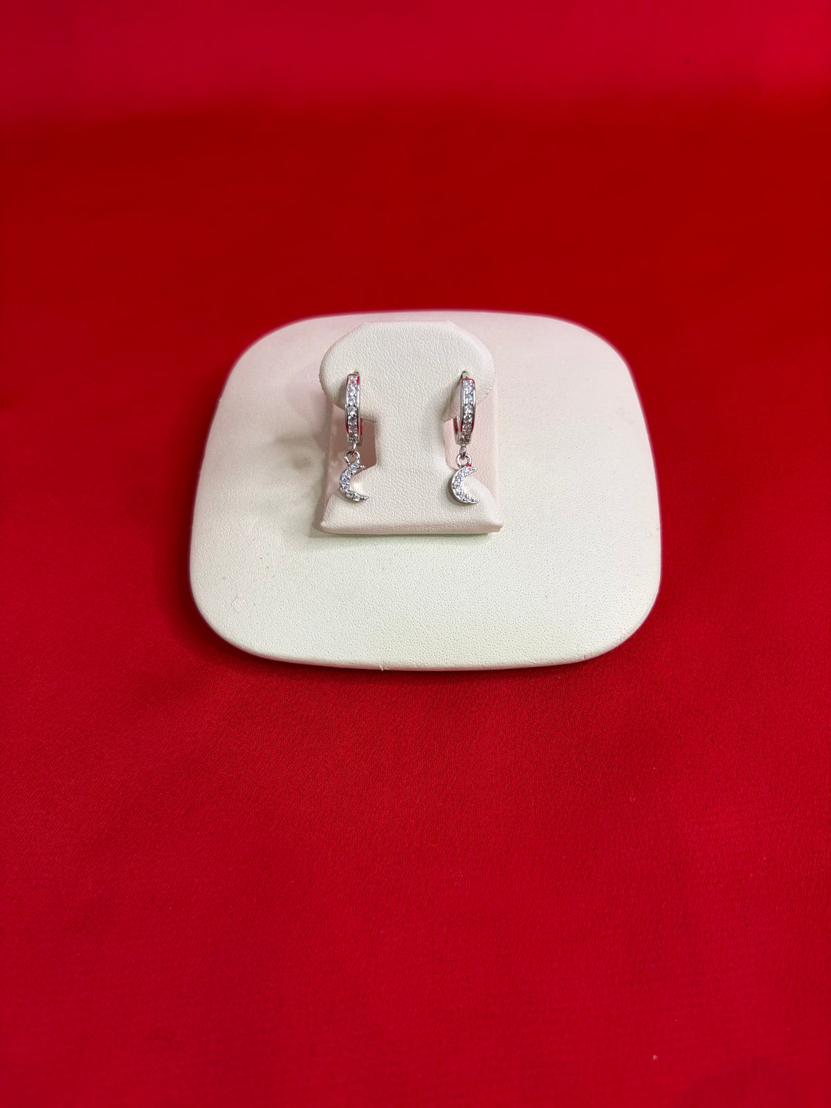 Pure Silver Hoops Earrings (HE52)