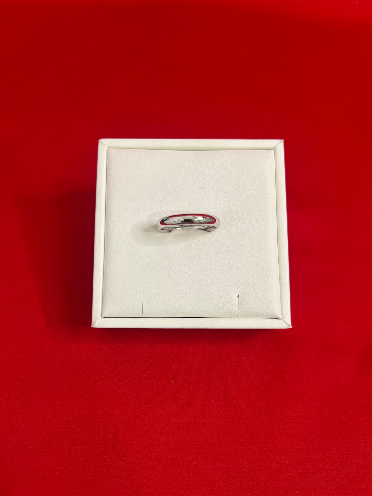 Men Silver Band (Size 14) MR73